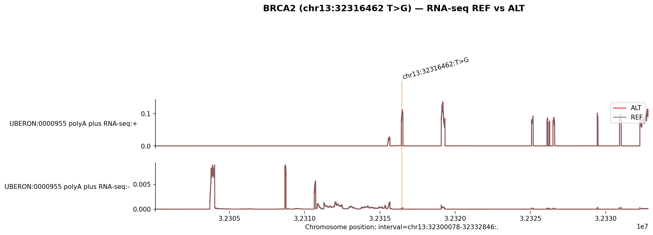 BRCA2 splicing RNA-seq
